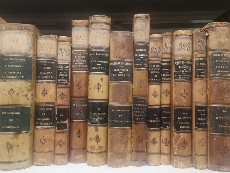 Vue d'une étagère présentant douze volumes de thèses imprimées datant du XIXe siècle. 